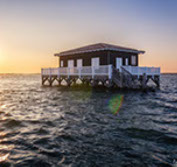 cabane tchanquée bassin d'arcachon